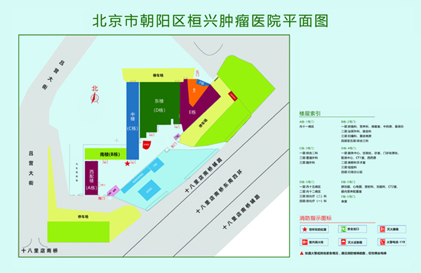 操大黑逼网站北京市朝阳区桓兴肿瘤医院平面图